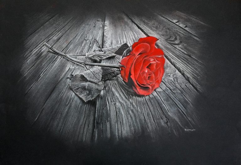 Red Rose - Pastel