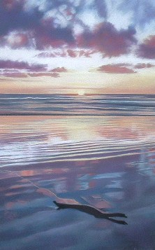 Driftwood, Manawatu River New Zealand -Pastel