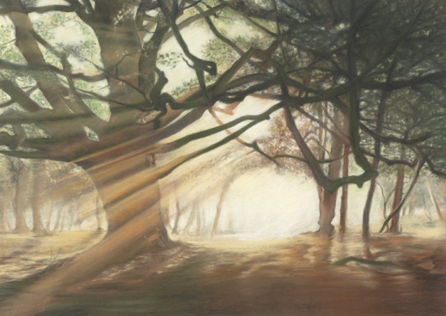 Forest Glade -pastel
