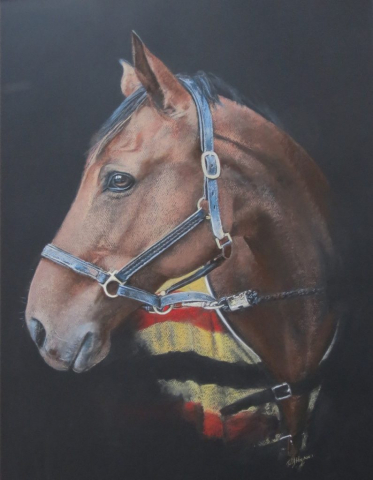 Charlie - pastel