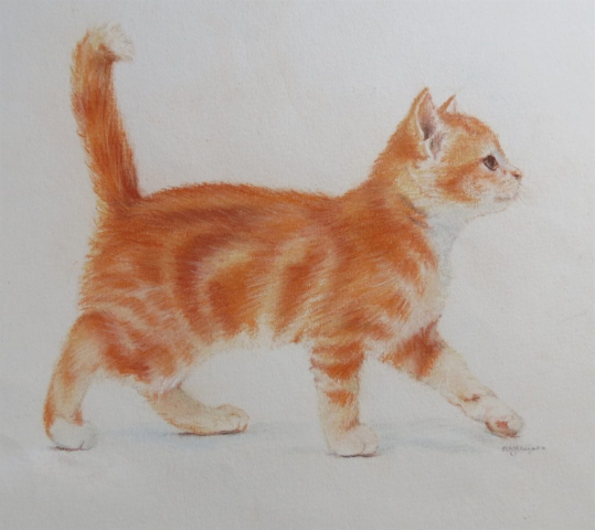 Ginger Kitten - pastel
